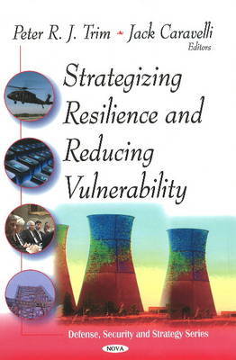 Strategizing Resilence & Reducing Vulnerability image