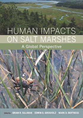 Human Impacts on Salt Marshes image