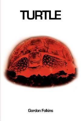 Turtle by Gordon Folkins image
