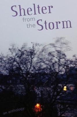 Shelter from the Storm by Cameron Trost image