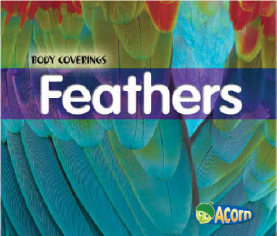 Feathers image