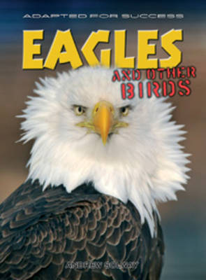 Eagles and other birds by Andrew Solway image