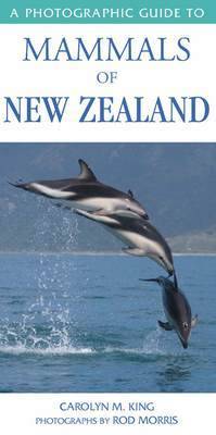 A Photographic Guide to Mammals of New Zealand by C. M. (Carolyn M.) King image