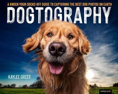 Dogtography by Kaylee Greer image