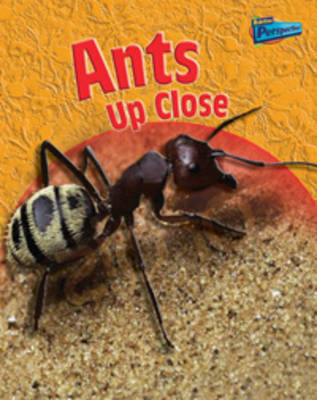 Ants Up-close on Paperback by Robin Birch