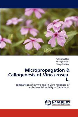 Micropropagation & Callogenesis of Vinca Rosea. L. by Rukhama Haq image