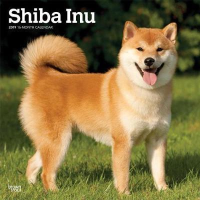 Shiba Inu 2019 Square Wall Calendar image