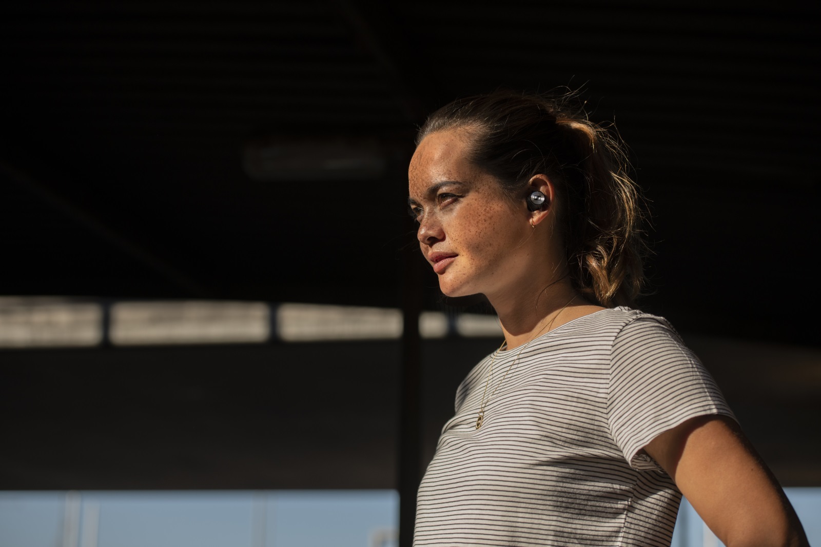 Sennheiser Momentum True Wireless In-Ear image