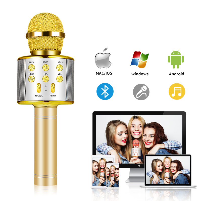 Karaoke Microphone with Bluetooth Speaker - Gold image