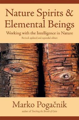 Nature Spirits & Elemental Beings by Marko Pogacnik image