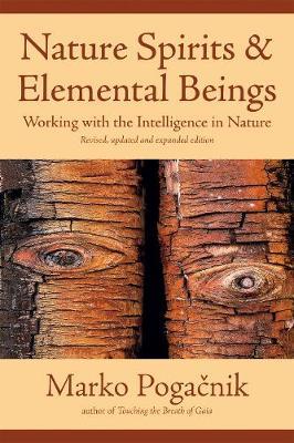 Nature Spirits & Elemental Beings image