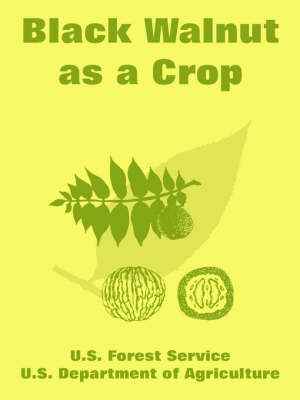 Black Walnut as a Crop by Forest Service U S Forest Service image