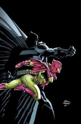 Batman: The Dark Knight by Frank Miller image