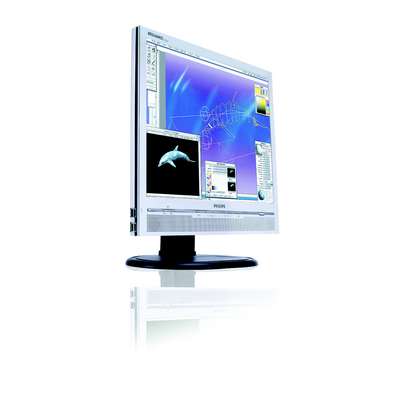 Philips 17" 170P6ES Silver DVI LCD TFT Flat Panel