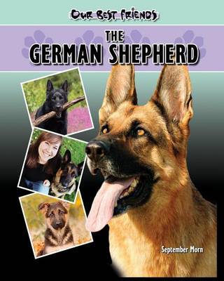 German Shepherd by September B Morn image
