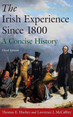 The Irish Experience Since 1800: A Concise History by Thomas E. Hachey image