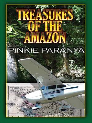 Treasures of the Amazon by Pinkie Paranya image
