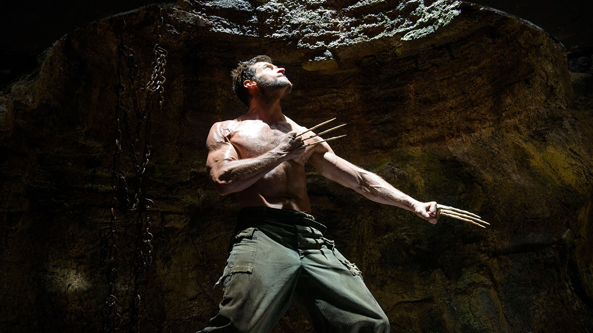 The Wolverine on DVD image