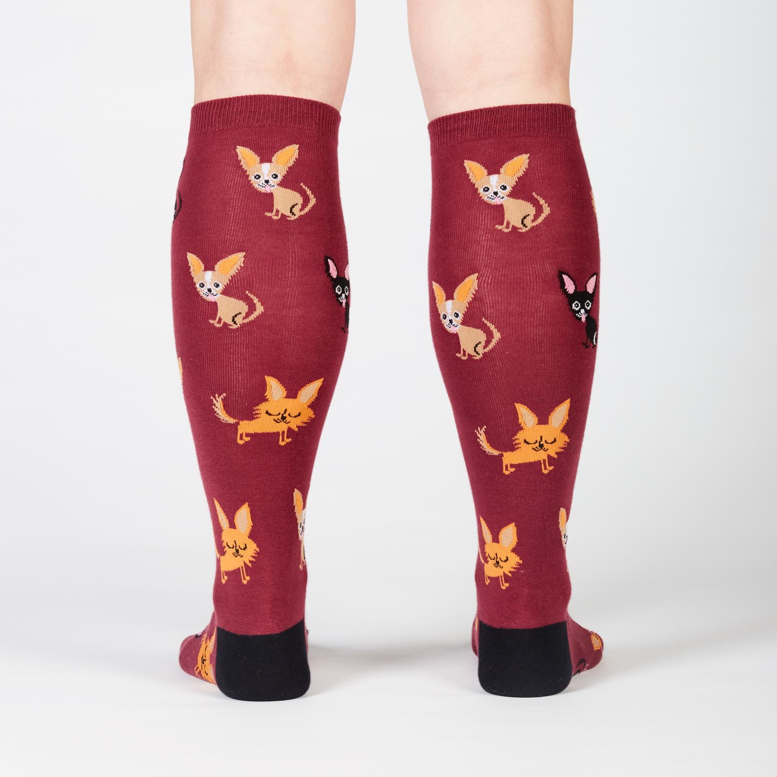 Women's - Chihuahua Knee High Socks image