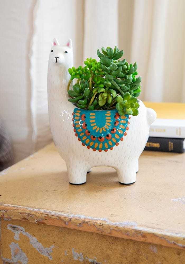 Natural Life Planter Cream Llama at Mighty Ape NZ