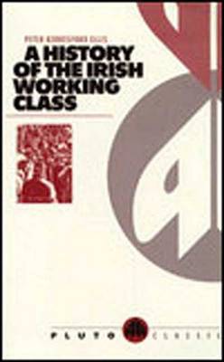 A History of the Irish Working Class image