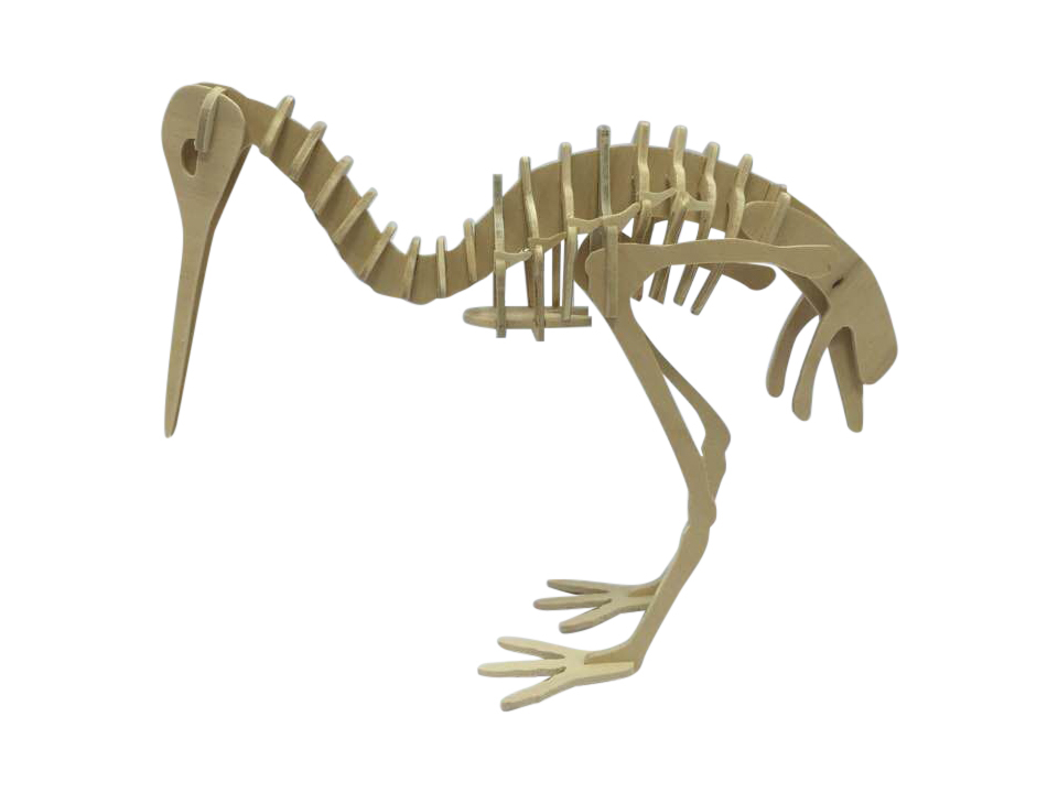 Рассмотрите рисунок 3 на котором представлены часть скелета питона птица киви скелет кита