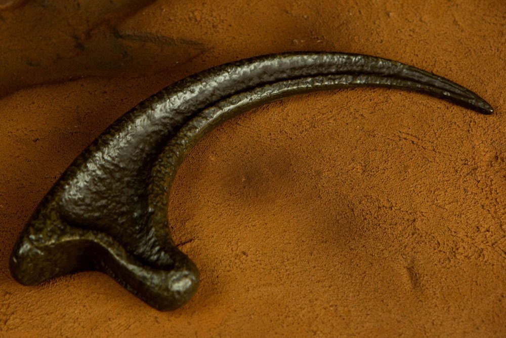 Raptor Claw 1/1 Replica at Mighty Ape Australia