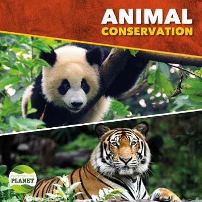 Animal Conservation by Harriet Brundle image