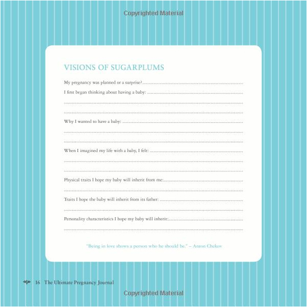 The Ultimate Pregnancy Journal by Alex A Lluch image