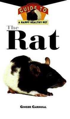 Rat image