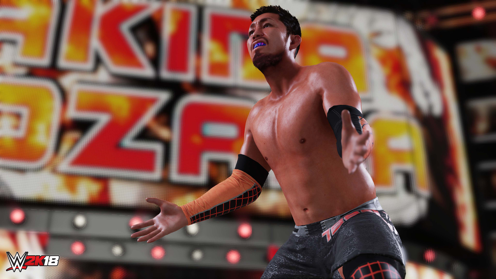 WWE 2K18 for PS4 image