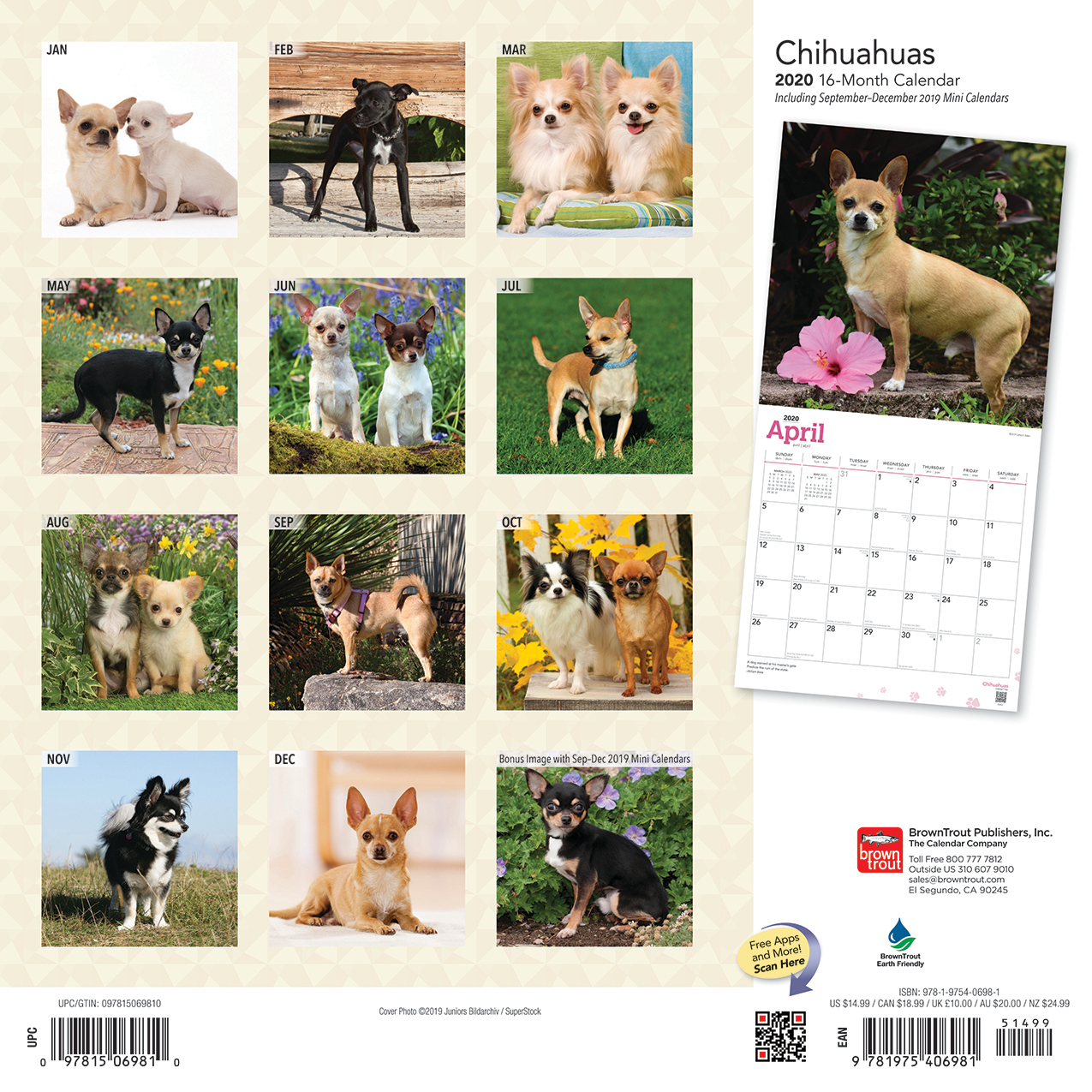 Chihuahuas 2020 Square Foil Wall Calendar image