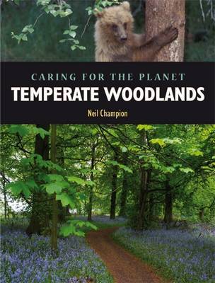 Temperate Woodland by Nigel Champion image