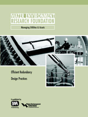 Efficient Redundancy Design Practices by T.M. Palmer image