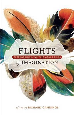 Flights of Imagination