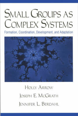 Small Groups as Complex Systems by Holly Arrow image
