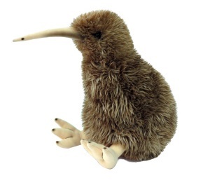 Brown Kiwi with sound X Large image