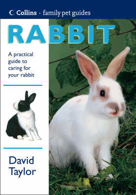 Rabbit on Paperback by David Taylor