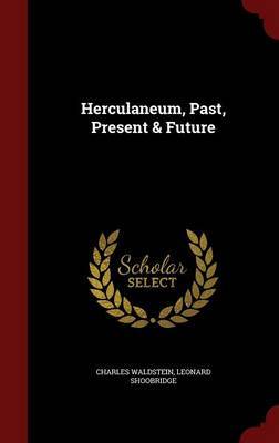 Herculaneum, Past, Present & Future image