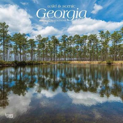 Georgia Wild & Scenic 2019 Square by Inc Browntrout Publishers