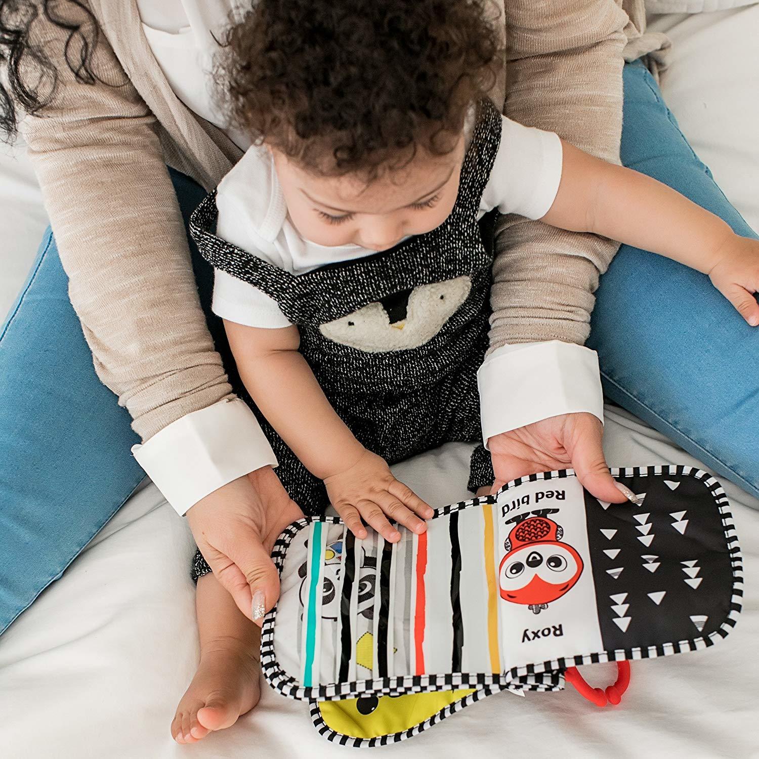 Baby Einstein: Flip & Discover Book - High Contrast image