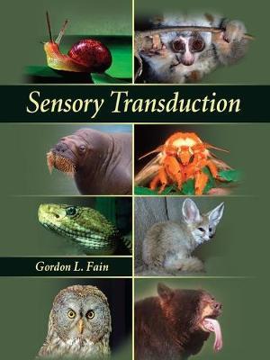 Sensory Transduction by Gordon L. Fain image