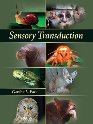 Sensory Transduction image