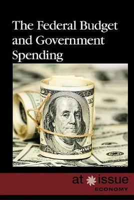 The Federal Budget and Government Spending image