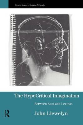 The Hypocritical Imagination by John Llewellyn image