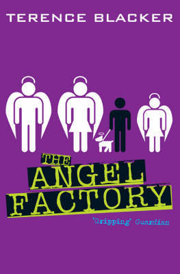 The Angel Factory by Terence Blacker image