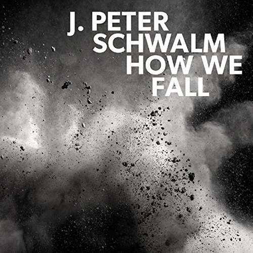 How We Fall on Vinyl by Schwalm