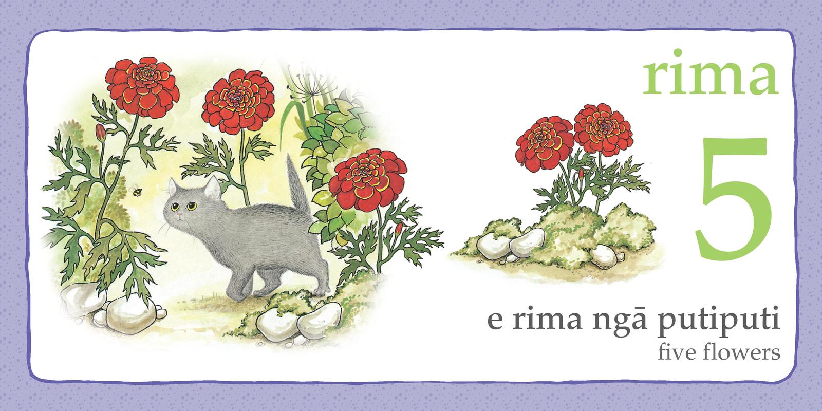 Hairy Maclary and Friends: 123 in Maori and English by Lynley Dodd image