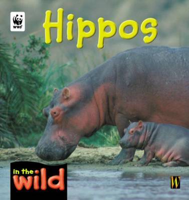 In The Wild: Hippos by Patricia Kendell image