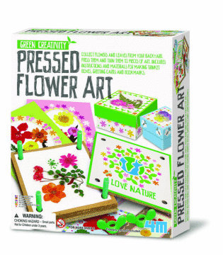 4M Green Creativity - Pressed Flower Art image